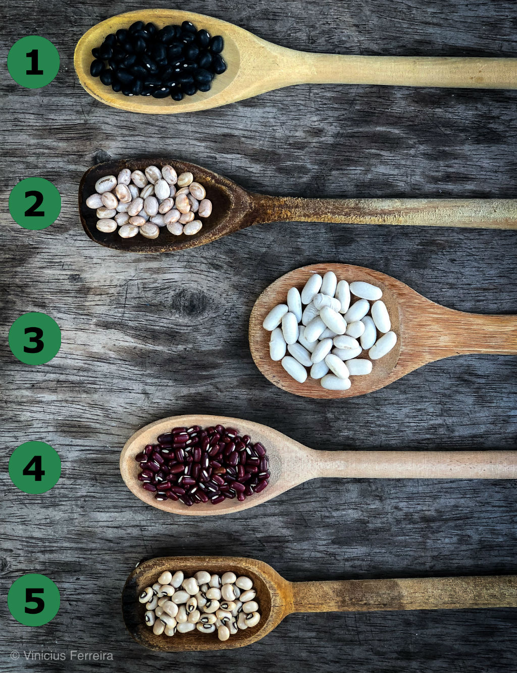 5 tipos de feijão para inovando no cardápio - Cookterapia